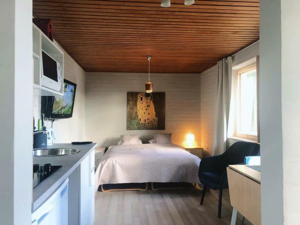 Villa Rajala Virasoja Dış mekan fotoğraf